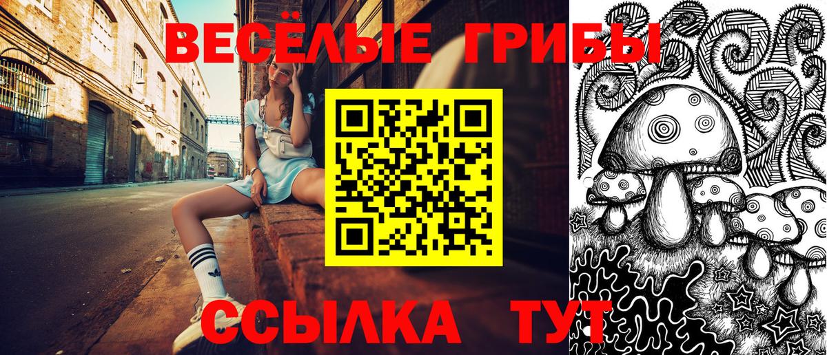 Псилоцибиновые грибы MAGIC MUSHROOMS Первоуральск