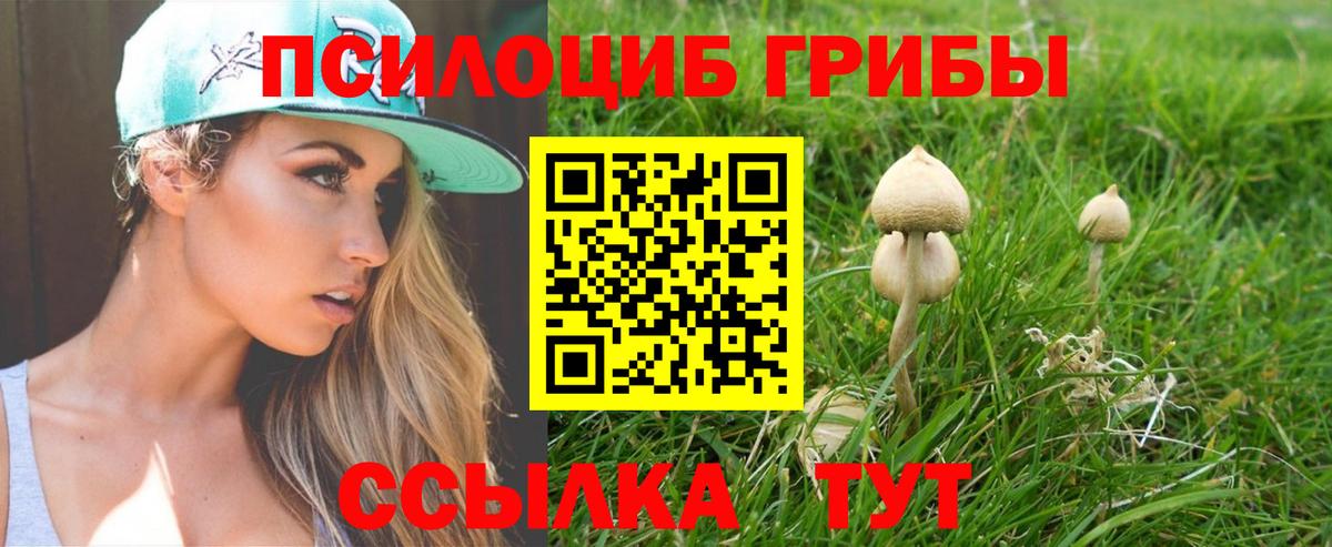 Галлюциногенные грибы прущие грибы  Вход с VPN  Псилоцибиновые грибы Psilocybine cubensis  где продают   Первоуральск 